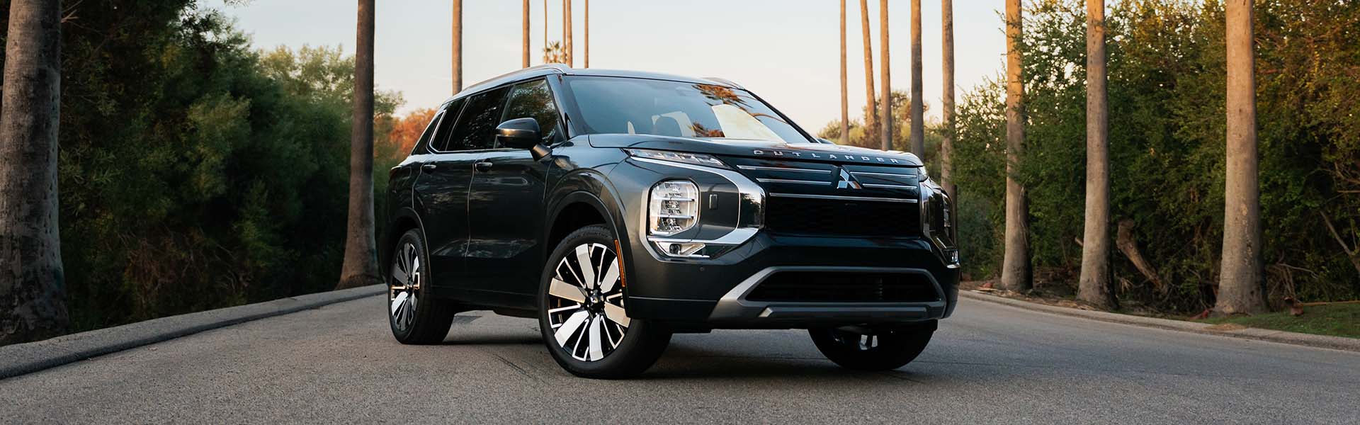 A dark gray Mitsubishi Outlander SUV parked on a paved road lined with palm trees.